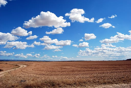 Open dirt field with bright blue sky and fluffy clouds